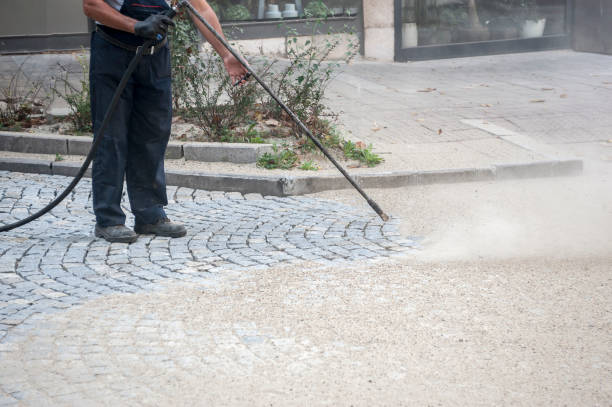 Best Soft Washing for Delicate Surfaces in West Easton, PA